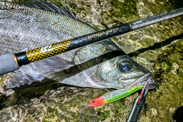 ダイワ シーバスロッド モアザン 103ML/M・J(2ピース)【大型商品