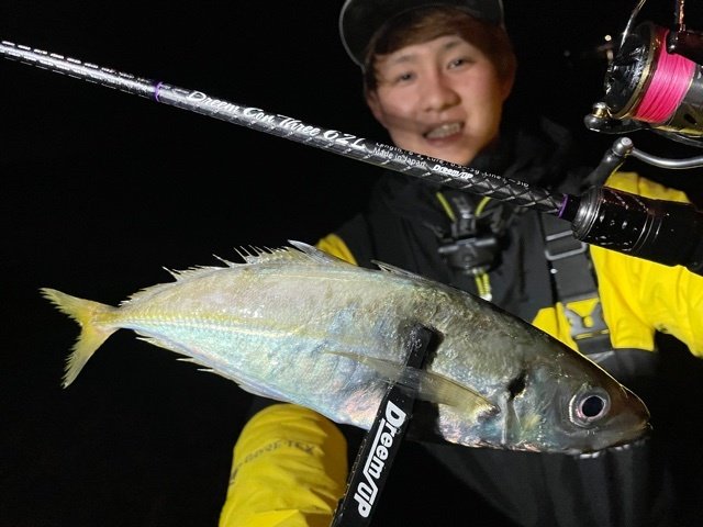 DREAMUPドリームアップドリームコンスリー81SF椿