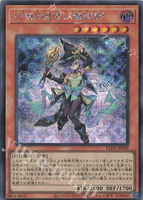 SE 幻惑の見習い魔術師 販売 | [LEDE] LEGACY OF DESTRUCTION | 遊戯王