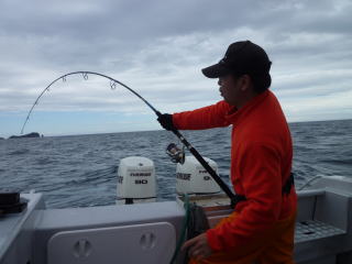 ブルー チェイサー BLC