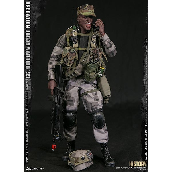 ミリタリー DAMTOYS MARINE CORPS GUNNERY SERGEANT DAMTOYS Gunnery