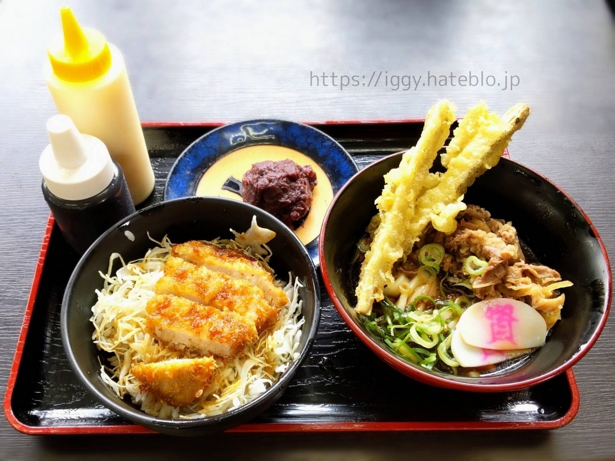 資さんうどん 選べるしあわせセット(肉ごぼ天ぶっかけうどん、たれカツ