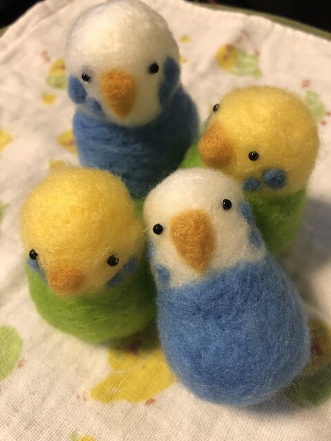 羊毛フェルトのセキセイインコに挑戦 - とりのぽblog