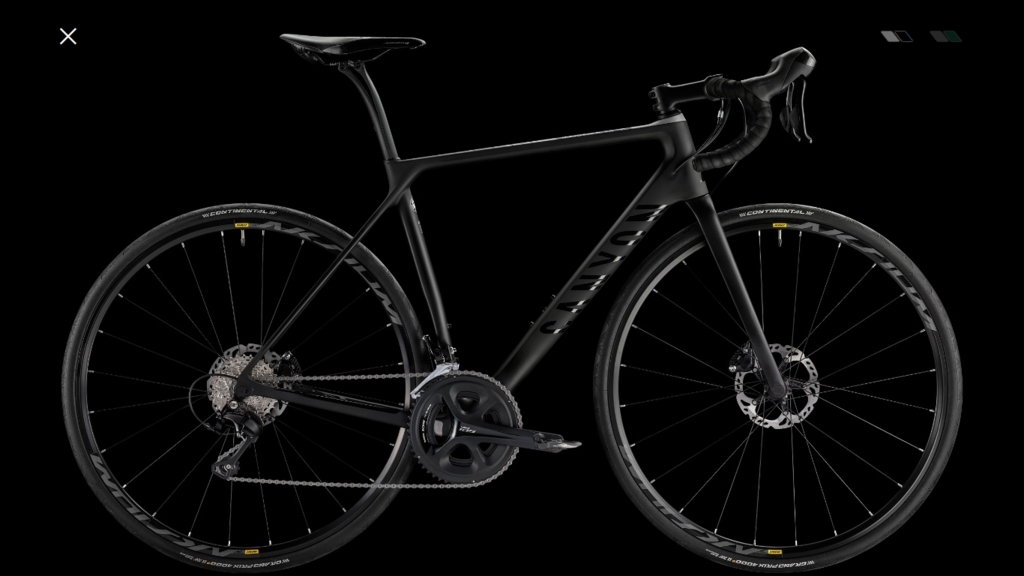 CANYON ENDURACE CF SL DISC 8.0は買いだったのか？ - 憧れの105(仮)