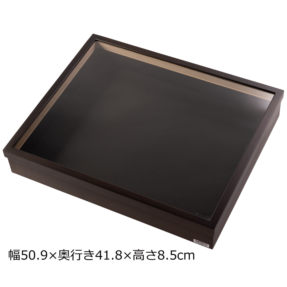 ドイツ箱 美咲箱タイプ小 〔幅50.9×奥行き41.8×高さ8.5cm〕 標本箱