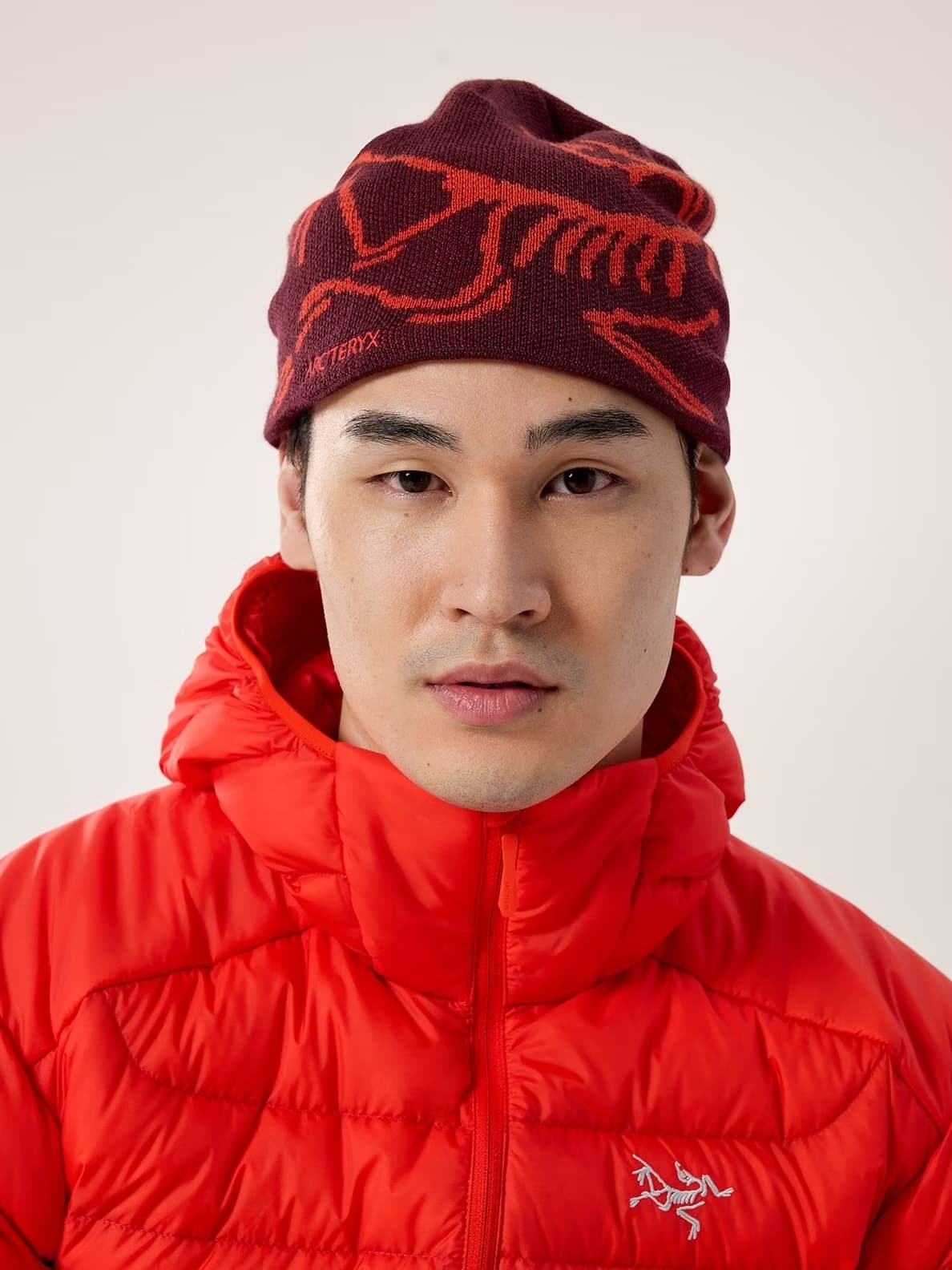 ARC'TERYX】BIRD HEAD TOQUEバードヘッドトーク☆ユニセックス (ARC