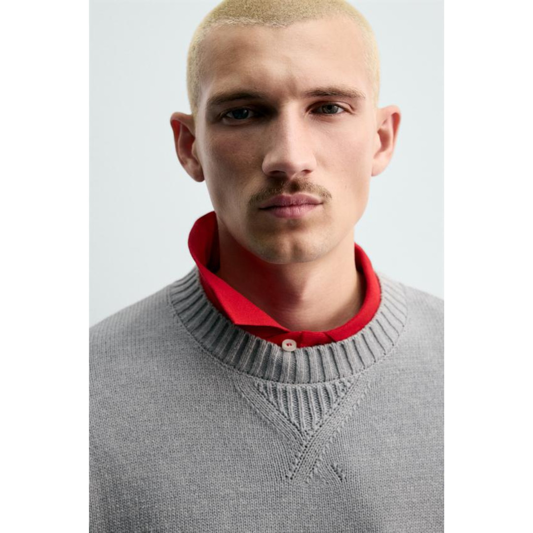 ZARA］ストライプ柄パッチ CHAMPION X ZARA セーター (ZARA/ニット
