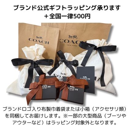 国内発/本物保証/COACH レキシー スケート バッグ チャーム 希少