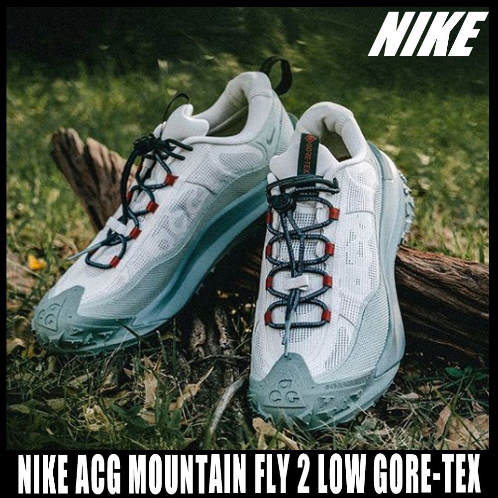 ◇正規品◇NIKE ACG MOUNTAIN FLY 2 LOW GORE-TEX◇男女共用◇ (Nike