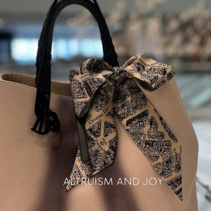24SS☆新色登場♪】DIOR Plan de Paris ミッツァ スカーフ (Dior