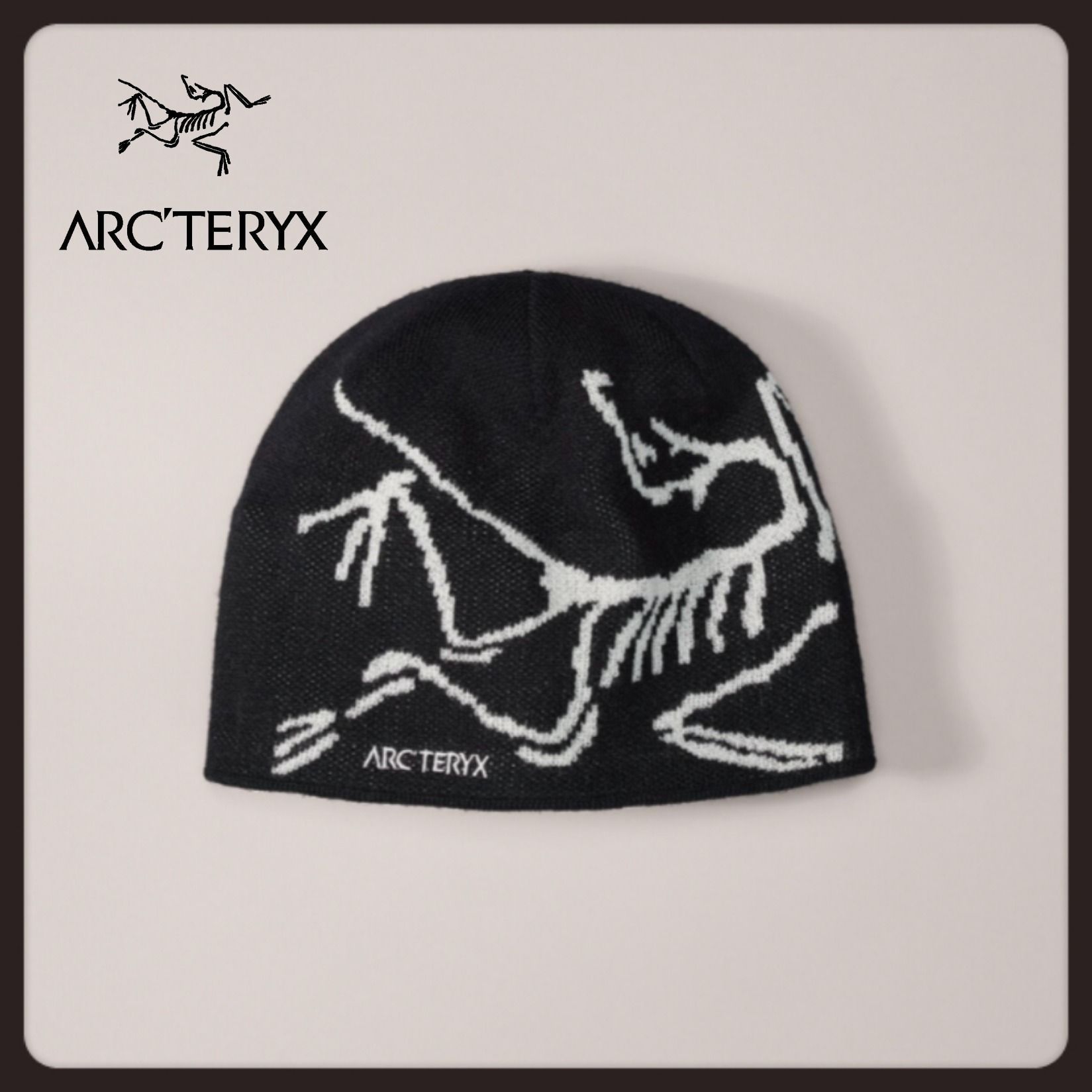 国内発送【ARC'TERYX】バードヘッドトーク ニット帽 (ARC'TERYX/ニット