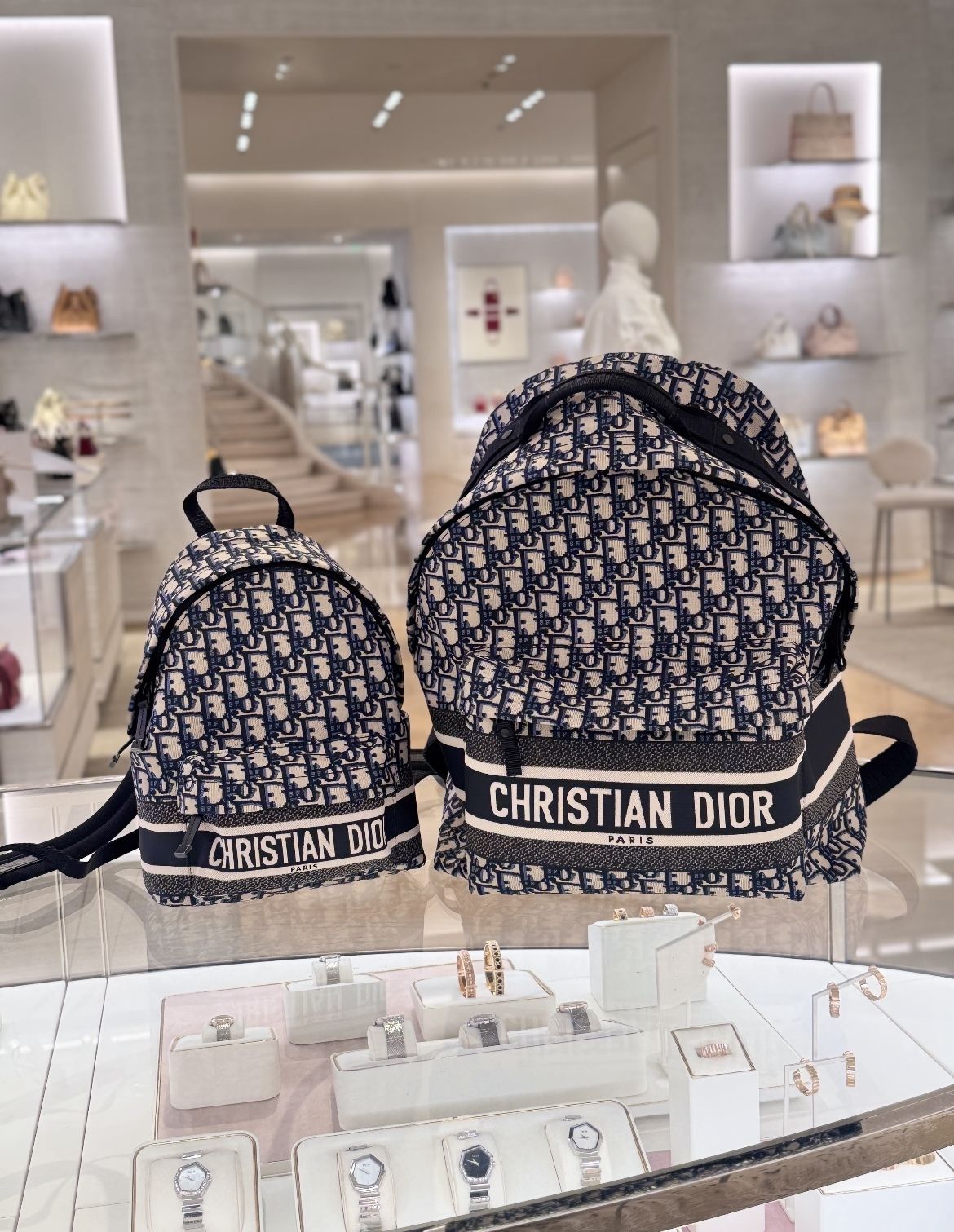 小さめでお洒落♪】DIOR☆DIORTRAVEL バックパックスモール (Dior