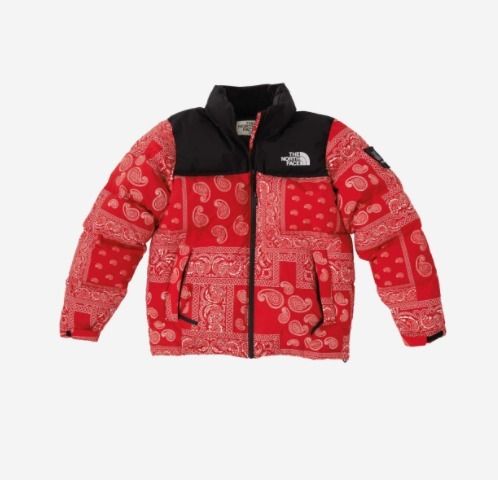 レア 21AW☆【The North Face x Casestudy】 Nuptse Down Jacket (THE