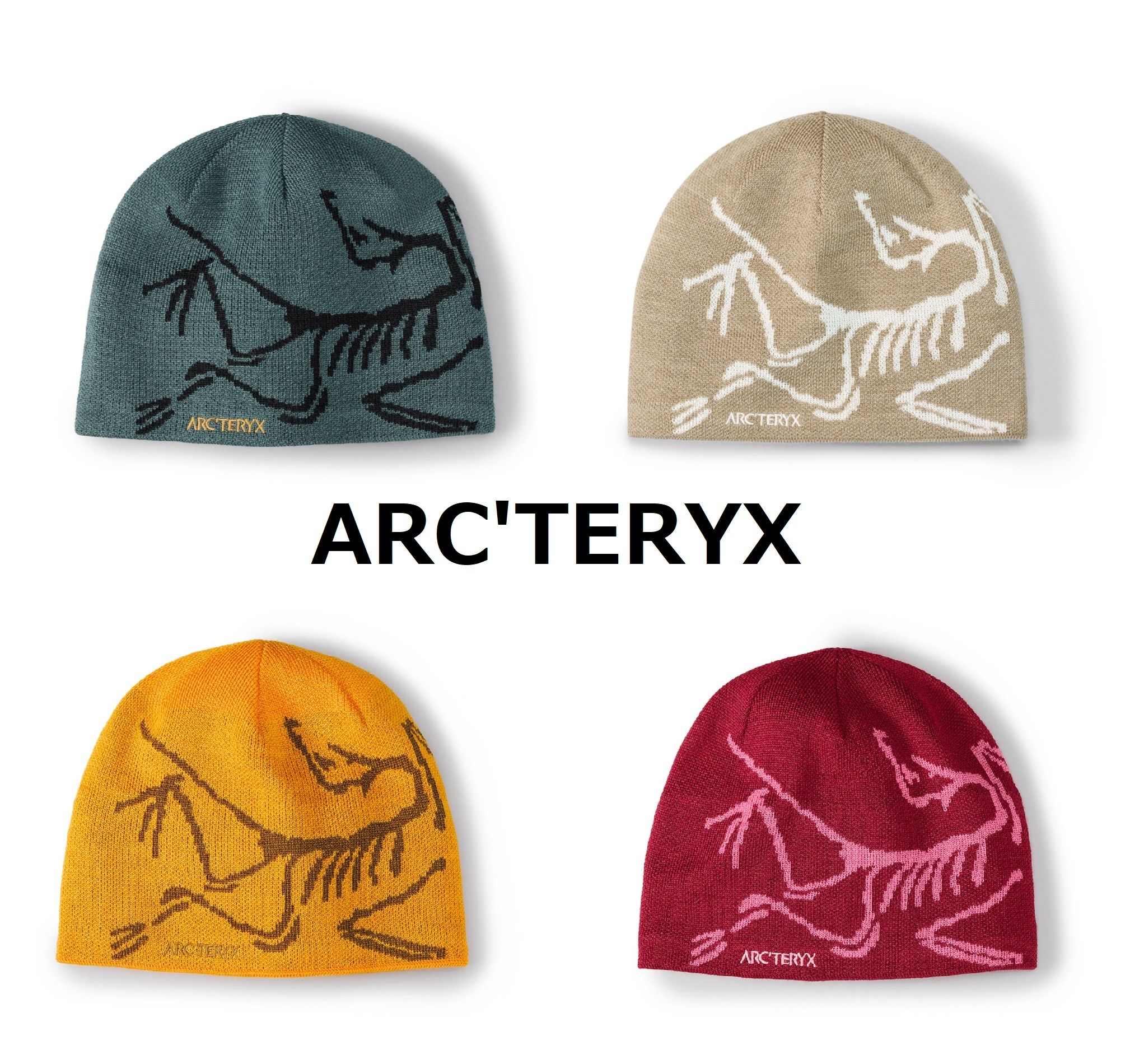 ARC'TERYX】ロゴグラフィック ☆ ニット帽 BIRD HEAD (ARC'TERYX