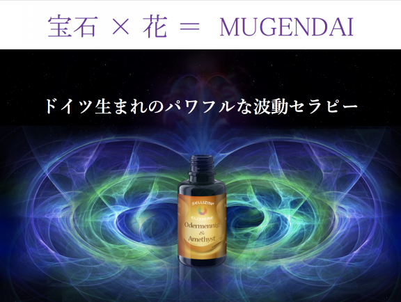 新着情報 | Sellizin® Elixir Japan（ゼリツィン®エリクサージャパン