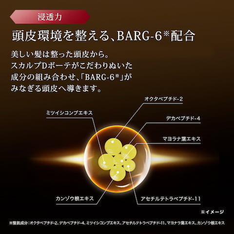 アンファースカルプD公式通販 | 予防医学のアンファーストア