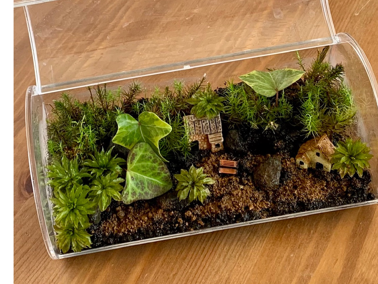 軽井沢で苔庭（テラリウム）づくり/ラブジャパンブランド - じゃらん