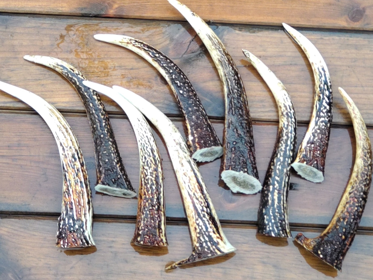 折り畳みナイフを鹿角でカッコよくカスタマイズ！女性にもおすすめ