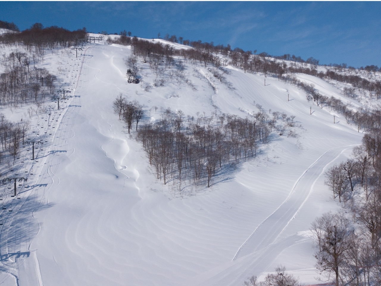 奥只見丸山スキー場 リフト券 ２枚セットランチソフトドリンク付き 奥只見丸山スキー場-リフト料金