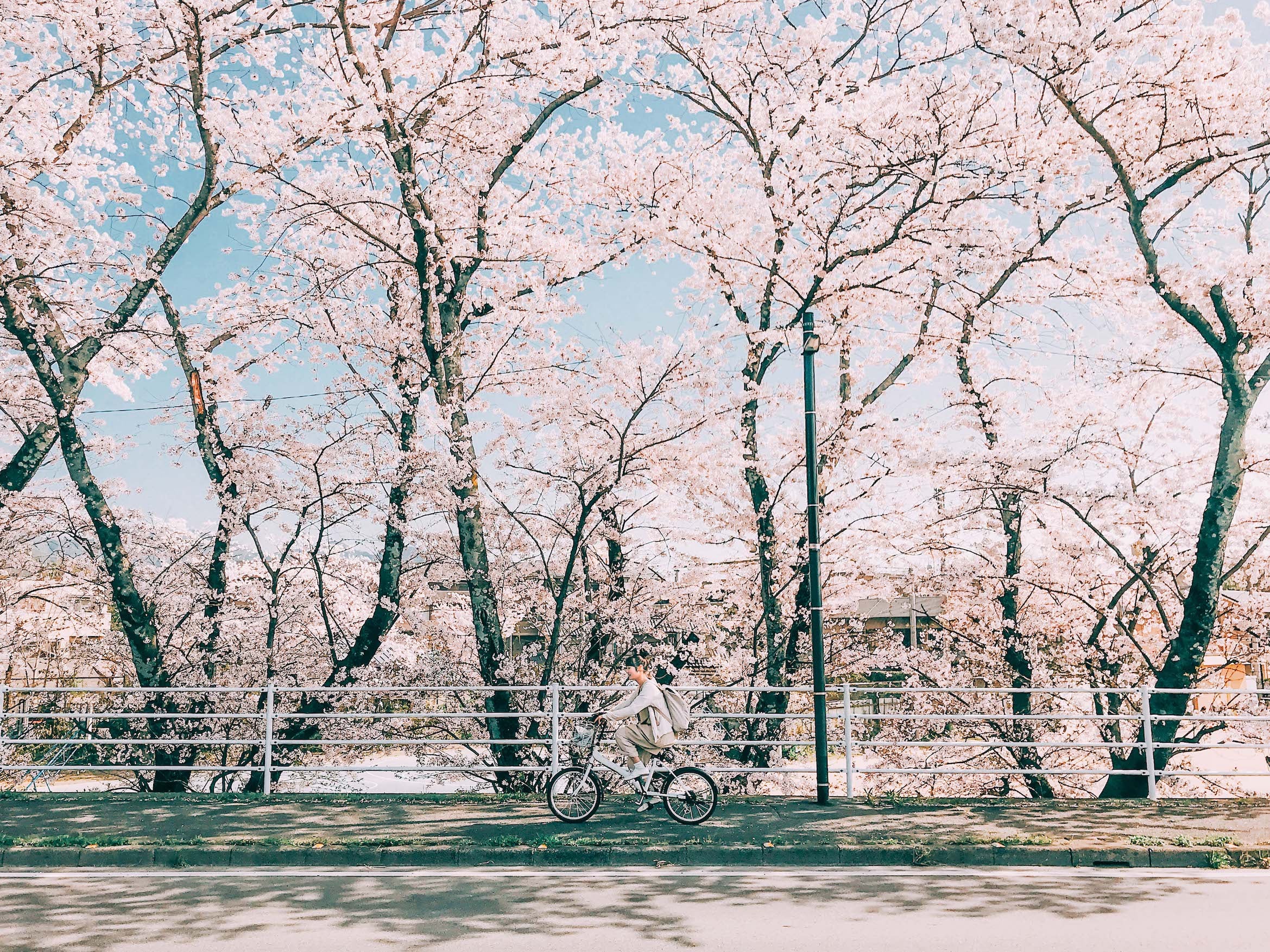 jyota tomonori Lightroom プリセット 「Pastel Collection」 – CURBON