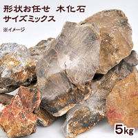 形状お任せ 木化石 サイズミックス 5kg 115667 1個（直送品） - アスクル