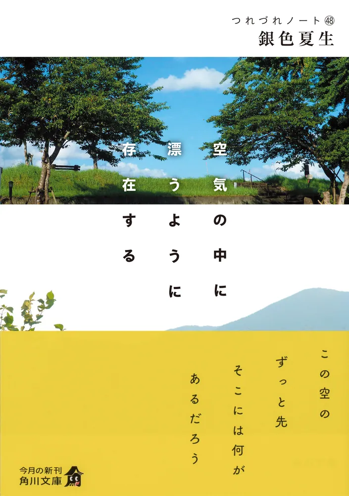 322507000546_01.webp