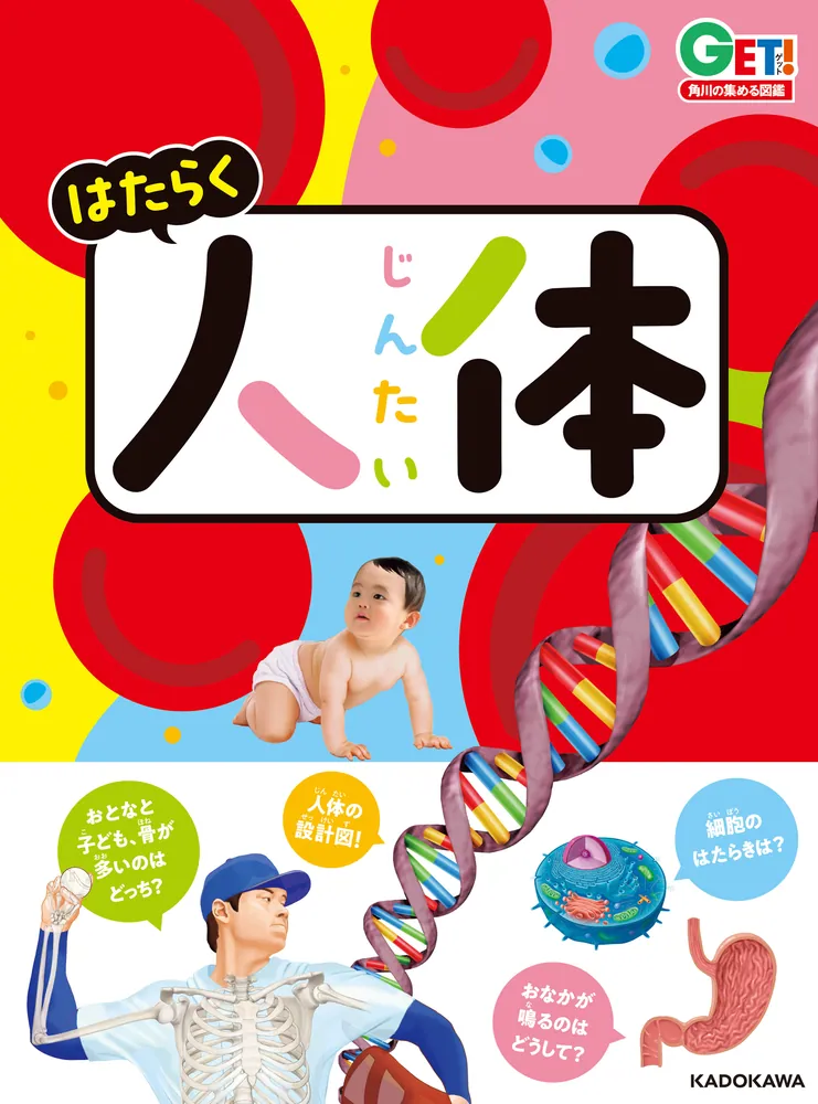 新品あり 14冊まとめ売り 講談社の動く図鑑 move 13冊 角川の集める [