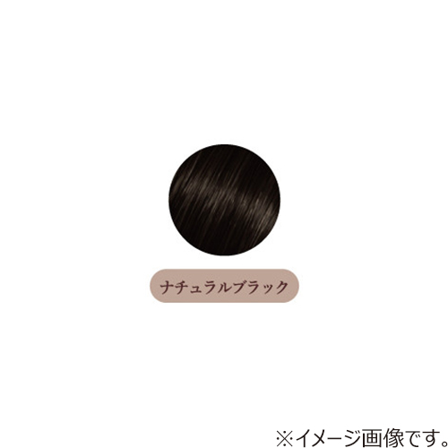 フラガール カラートリートメント ナチュラルブラック 250g｜【ハンズ