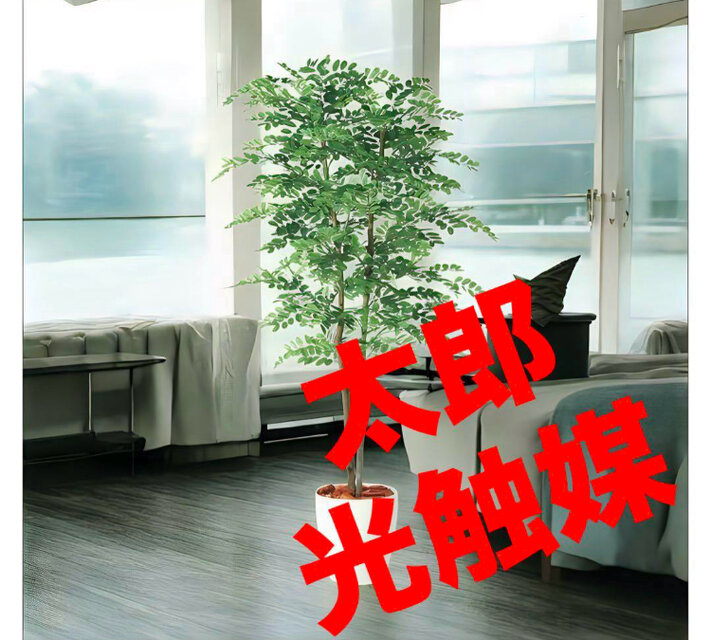 光触媒 人工観葉植物 フェイクグリーン フェニックス・ロベレニー PLUS