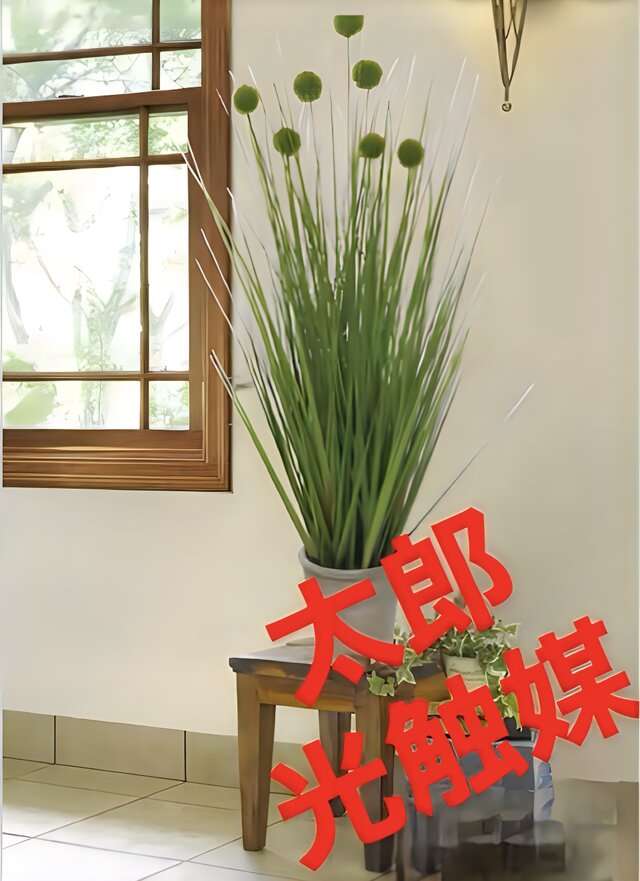 光触媒 人工観葉植物 ウォールグリーン フェイクグリーン ボールグラス