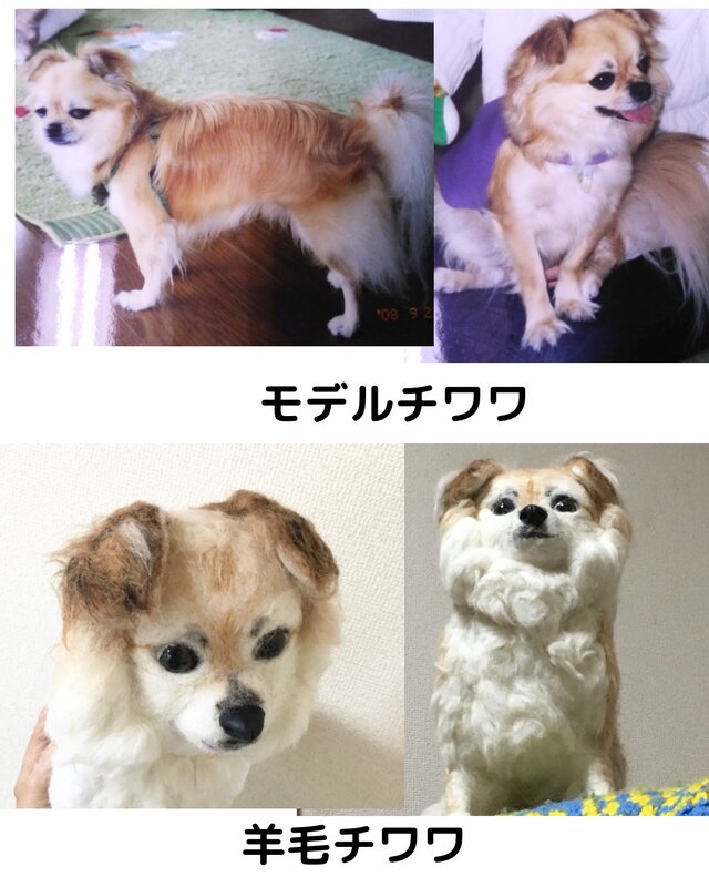 受注制作☆羊毛フェルトのチワワ | iichi 日々の暮らしを心地よくする
