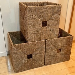 クニプサの中古が安い！激安で譲ります・無料であげます｜ジモティー