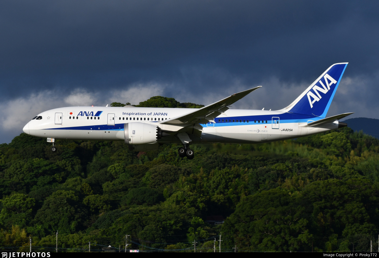 IWAYA 1/200 B787-8 ANA JA820A 8044-02 航空機・ヘリコプター B787-8