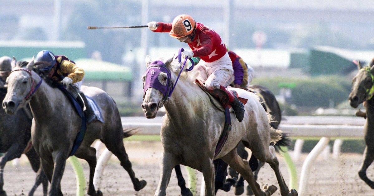 的場文男 的馬券 マトバケン 二枚セット 的場文男 的馬券 マトバケン