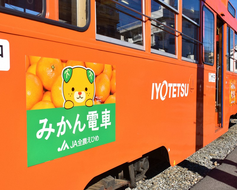 伊予鉄道 みかん電車 吊り革 松山の「みかん電車」、通年運行スタート