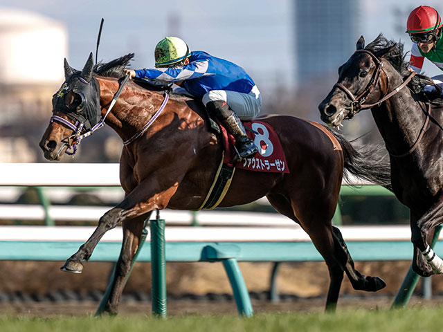 マ*リ様 98年 皐月賞 現地馬券 18頭 マ*リ様