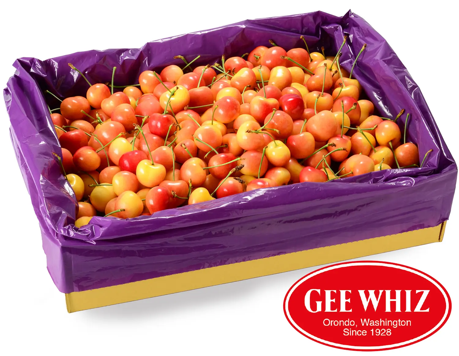 ryh9l7paqa2ukzvricmeizpu5r0q