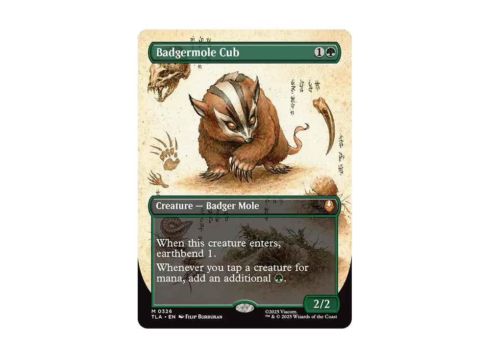 Mtg アナグマモグラの仔 英語 foil アナグマモグラの仔/Badgermole Cub