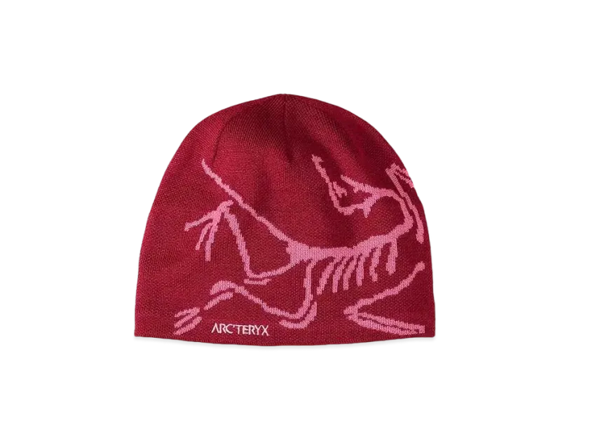 ARC'TERYX Bird Head Toque 