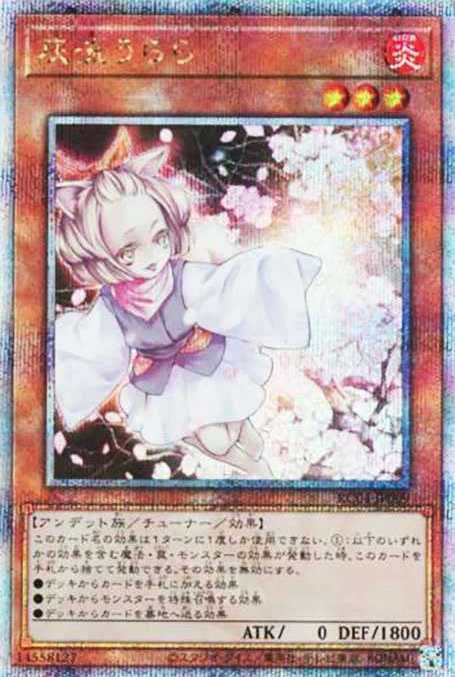 遊戯王OCG】2024年版必須級の汎用カード20選！大会採用カードも解説