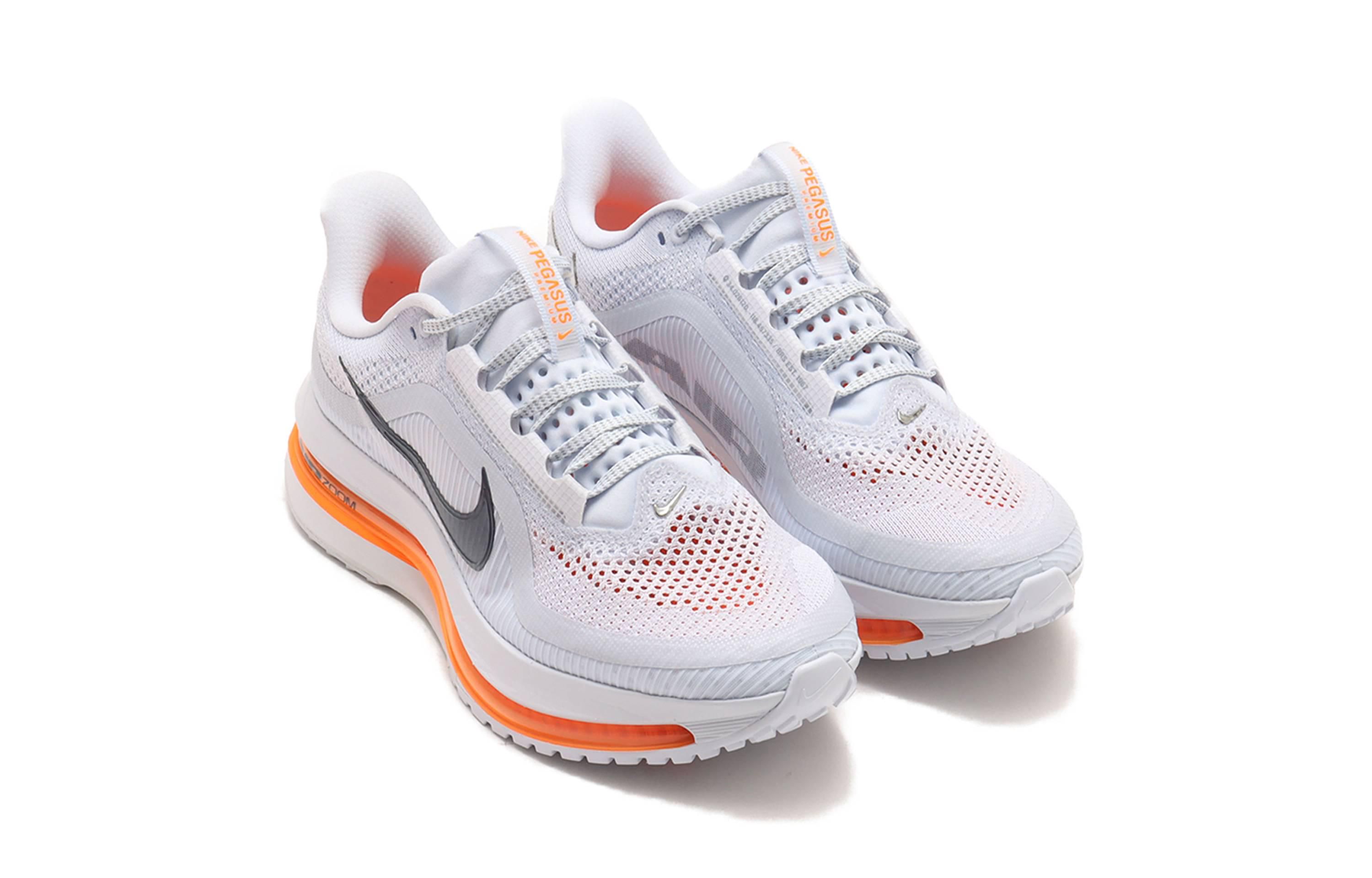 1/30発売｜Nike Pegasus Premium 