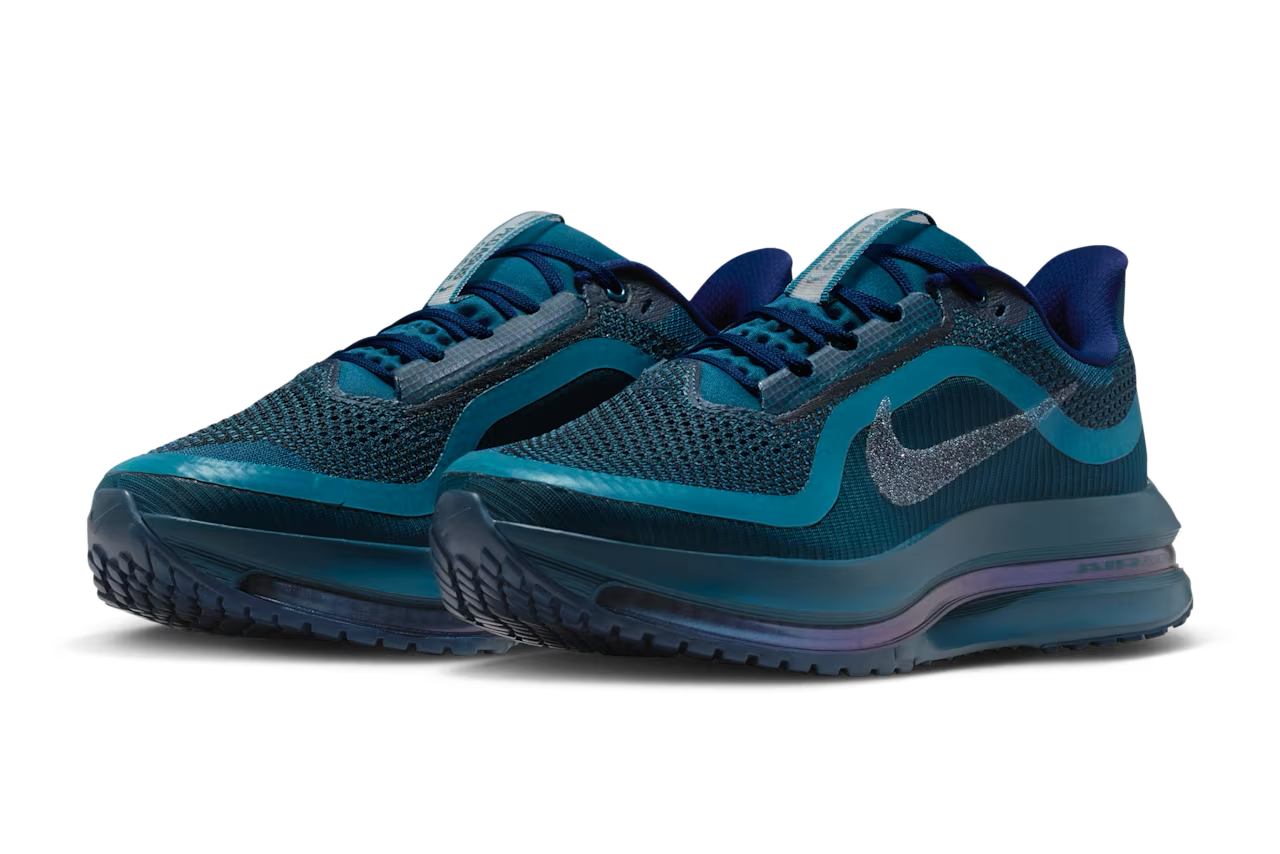 1/30発売｜Nike Pegasus Premium 