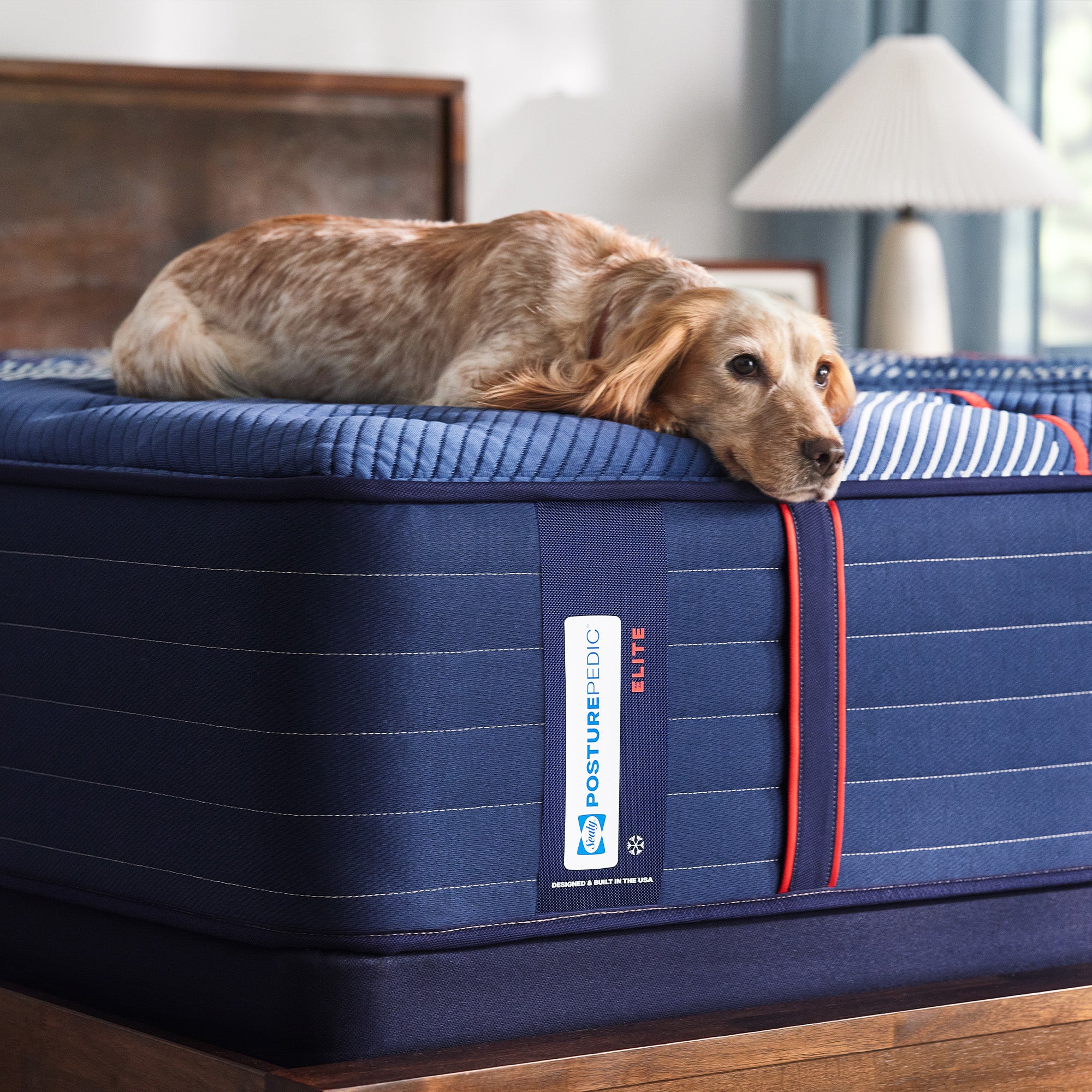 Sealy Posturepedic® Elite Albany Firm Mattress · Mattress Warehouse