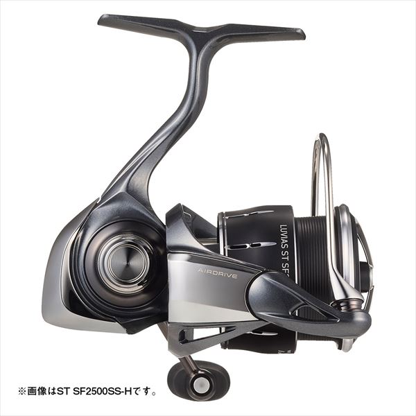 Daiwa 24 Luvias ST SF1000S-P | eBay