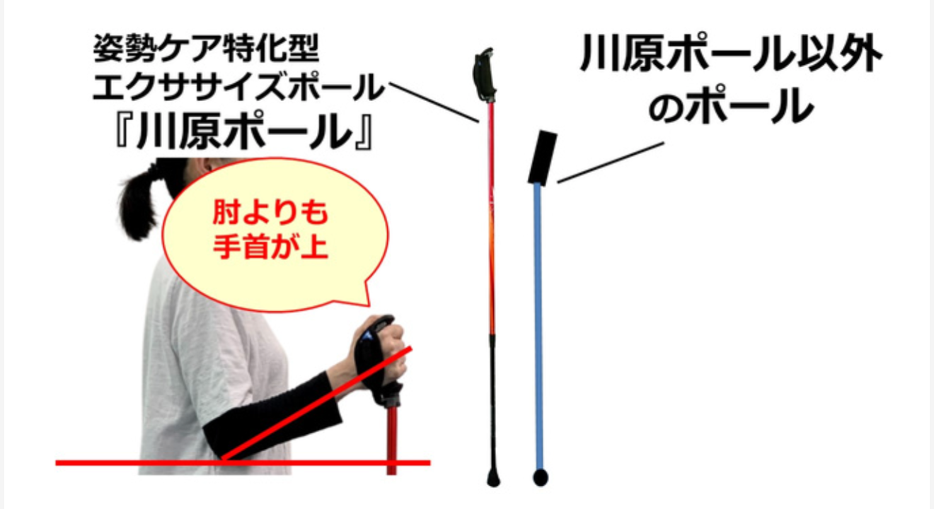 カワハラポール