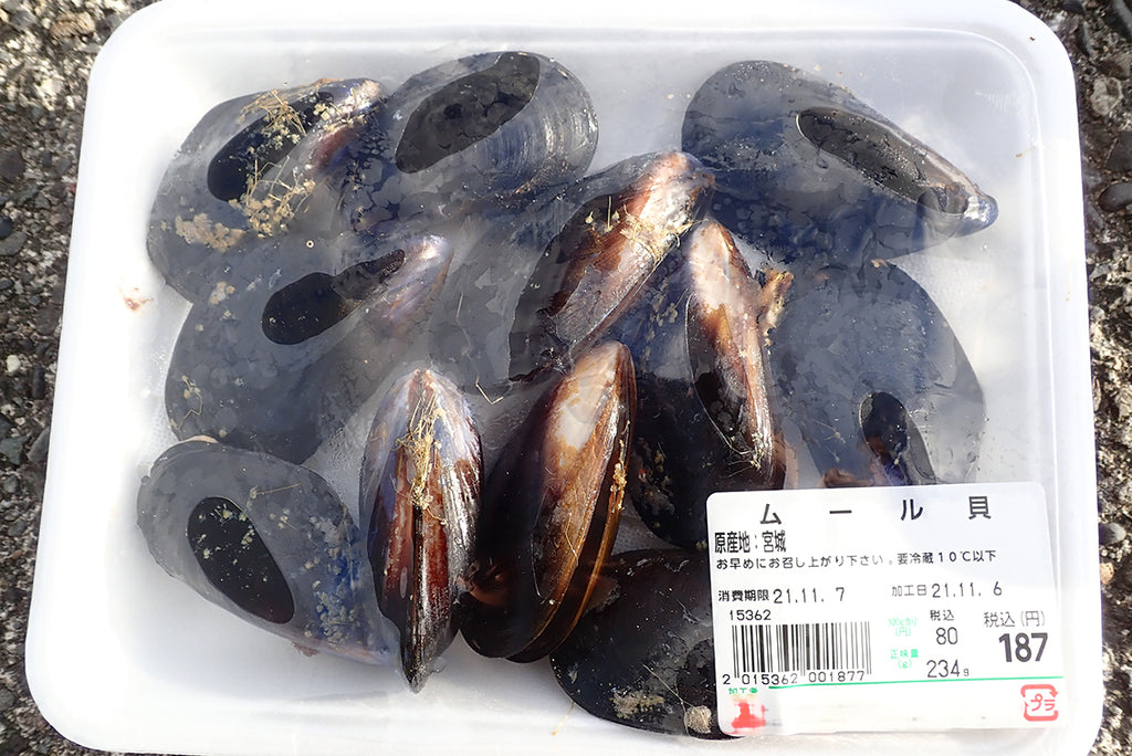 業務スーパーのムール貝でイシガキダイを手軽に釣ってみた – BRECOL