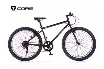 CORE_BK_eaa8c24c-38b3-4532-
