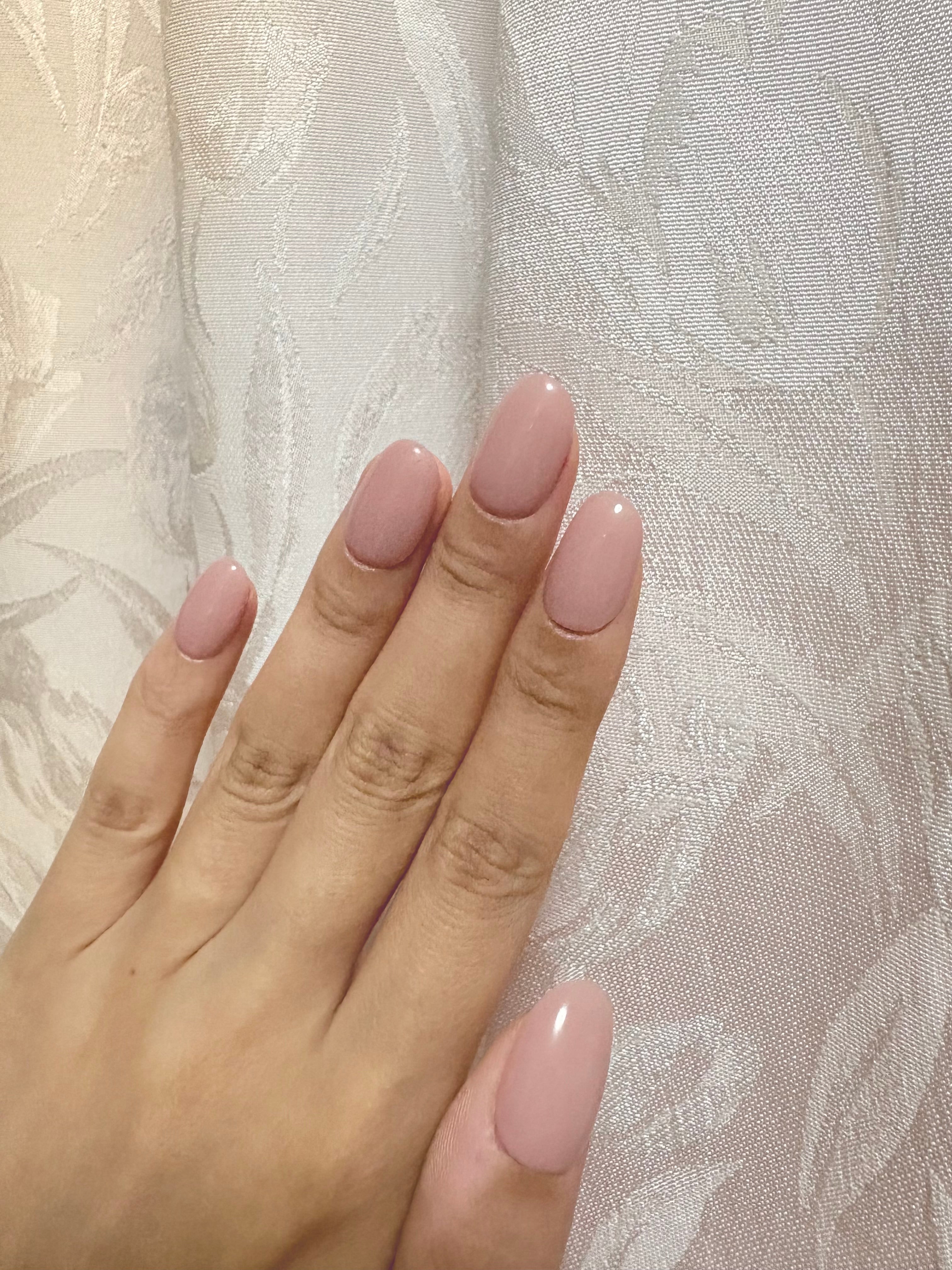 エバーネイル EVER NAIL ネイルチップ ミディアムオーバル エバー