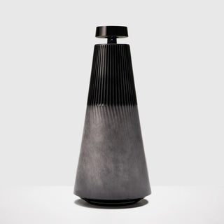 bangandolufsenspeakerback0341.
