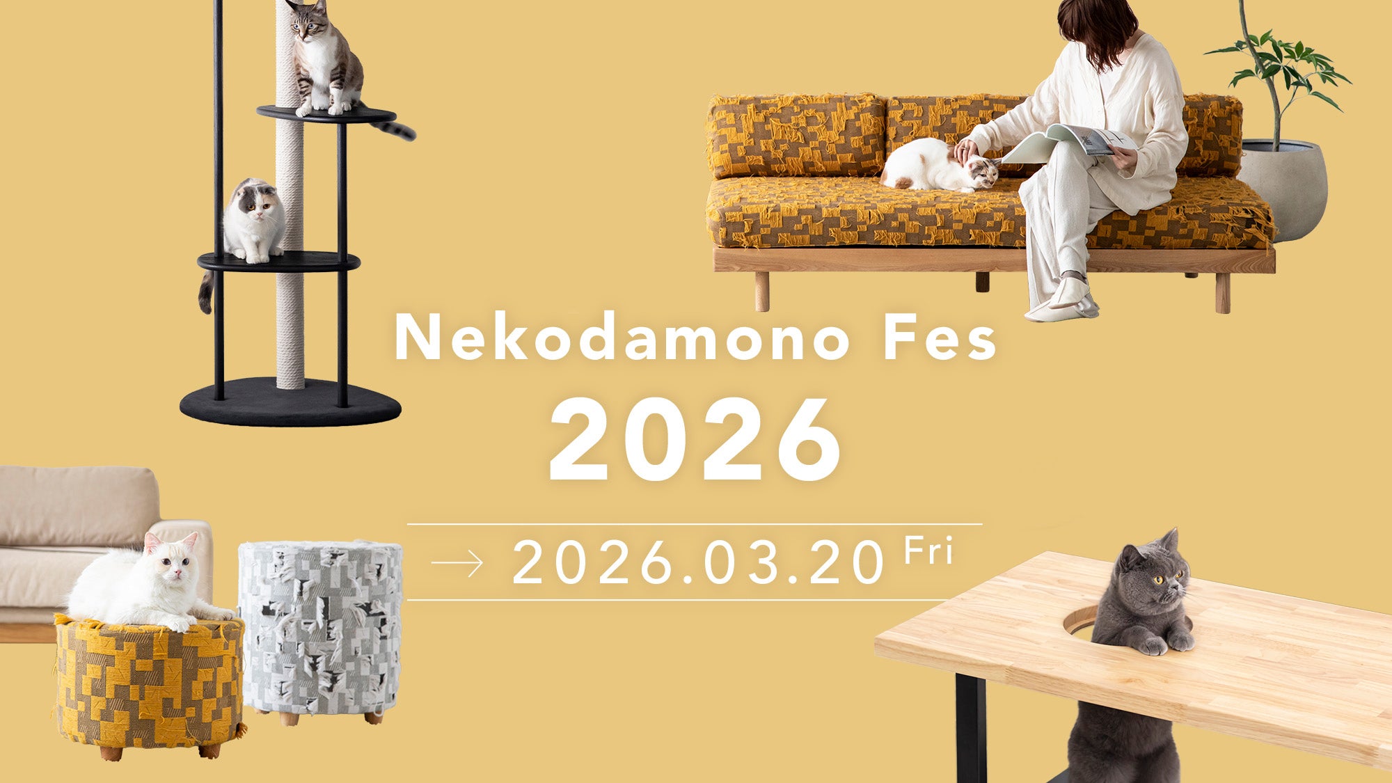 猫スタッフ4匹による Nekodamono 一斉調査 #01 – KANADEMONO